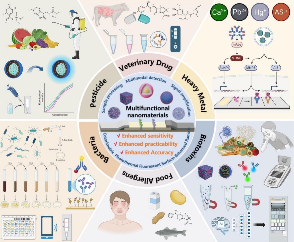 基于MFNs -LFIA的生物標記物檢測示意圖：在多種食品污染物中的應用