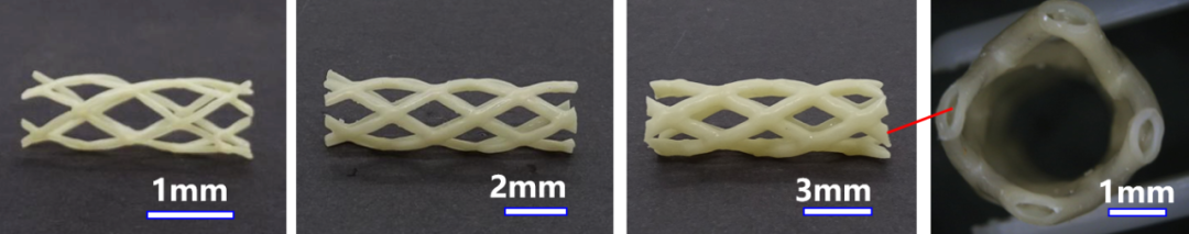 華東師范大學研制的中空可降解水凝膠心血管支架