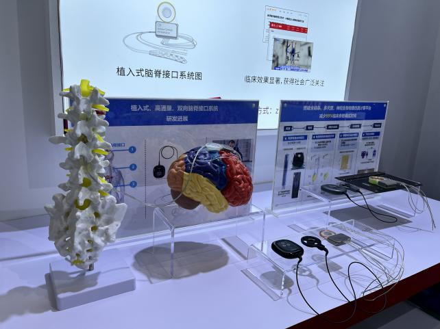 植入式腦脊接口